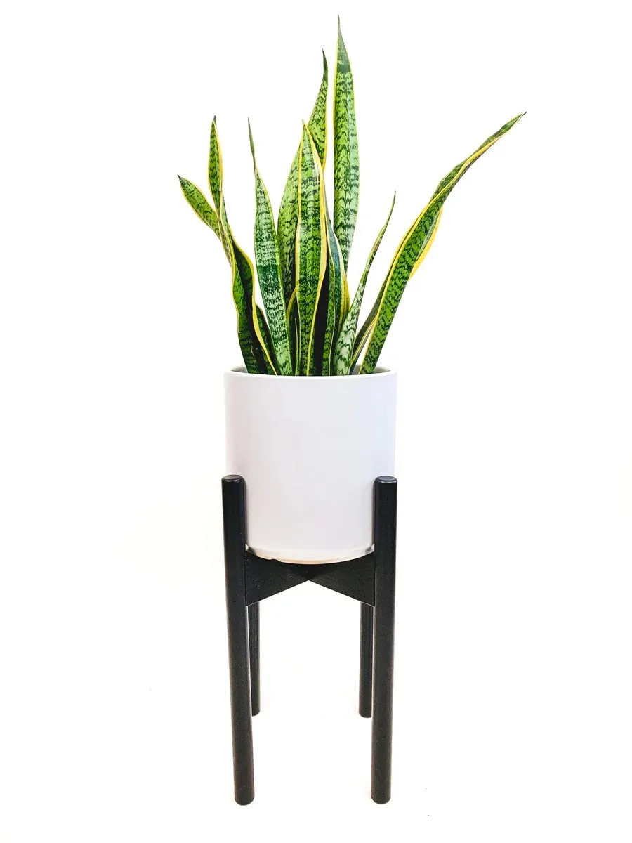 Declutterd Pot and Plant Stands Easter Gift Guide 2022