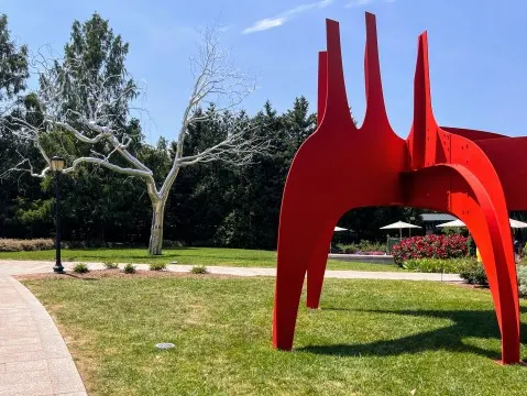Best Things To Do In The DC Area With Tweens