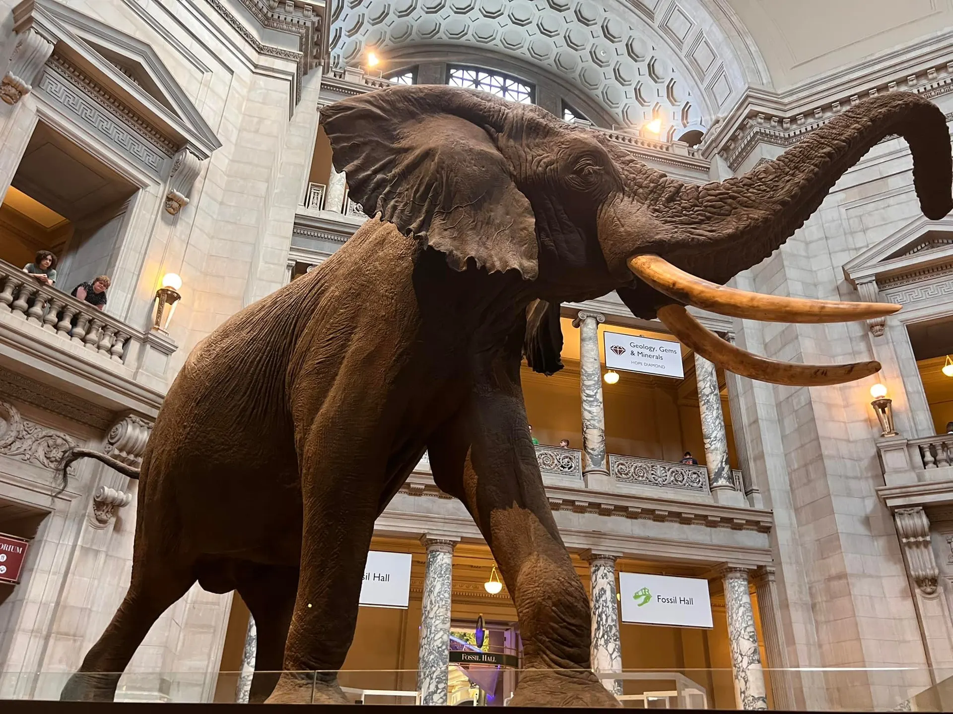 Best Things To Do In The DC Area With Tweens