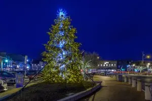 November Things To Do Annapolis