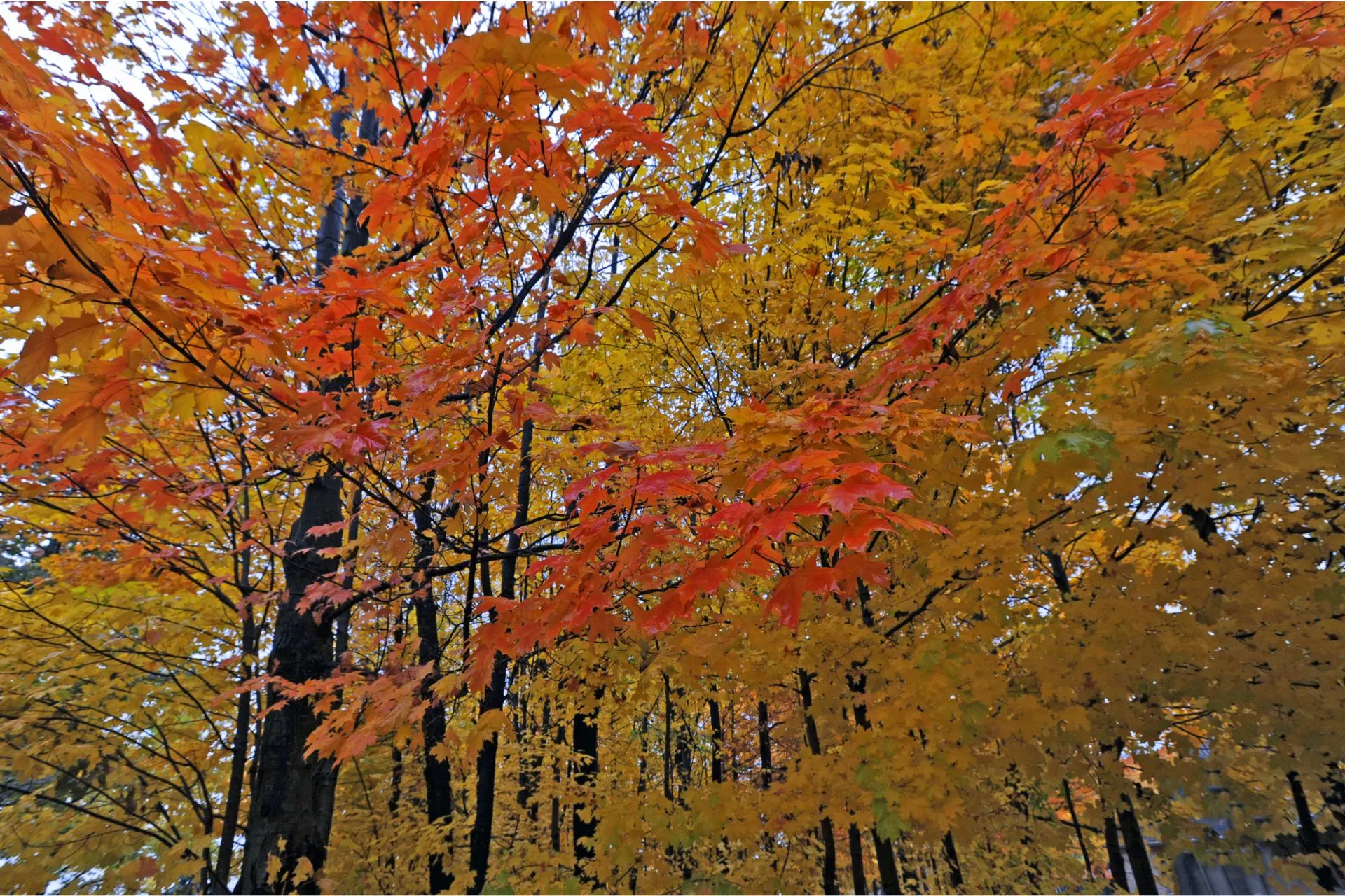 October Things To Do Maryland