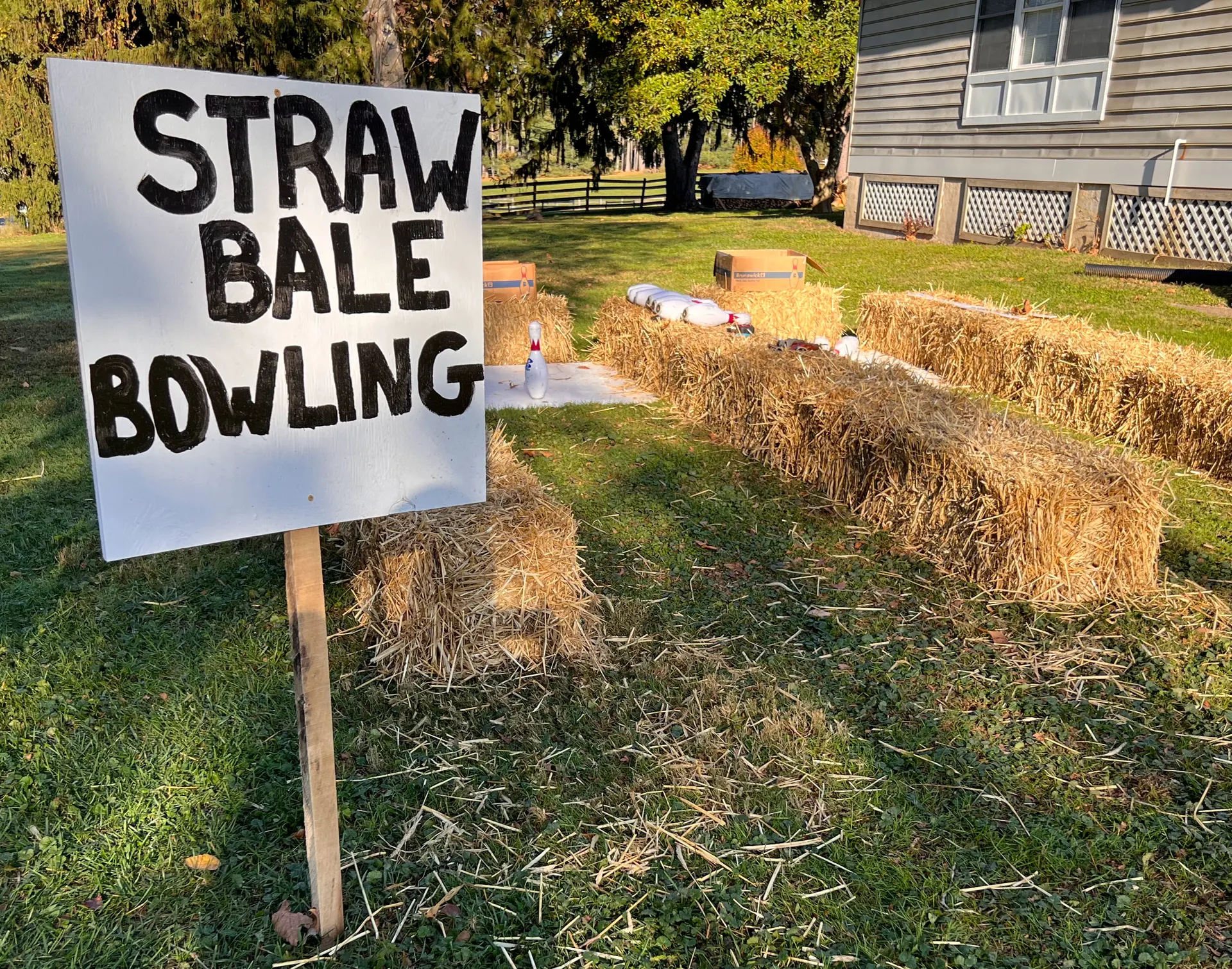 The Snowball Stand Fall Festival