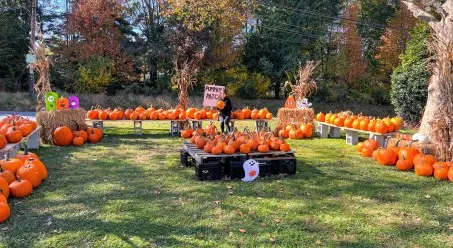 The Snowball Stand Fall Festival