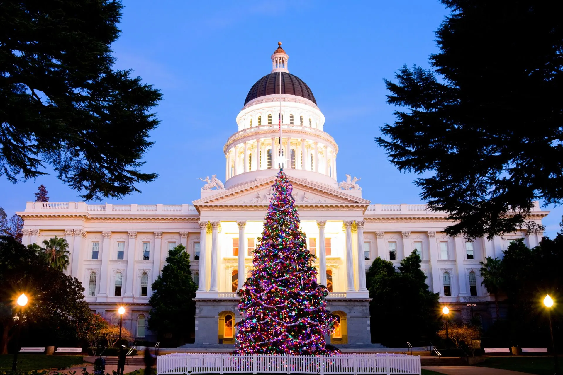 Holiday Things To Do in and near DC